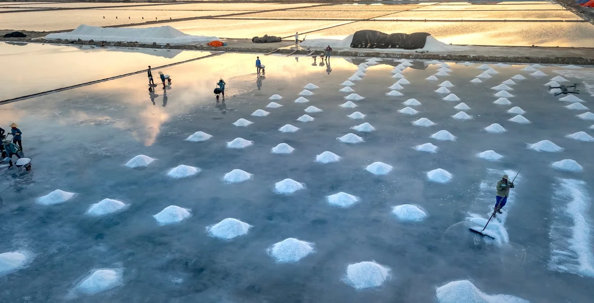 Tainan Salt Pan Eco-village view 2