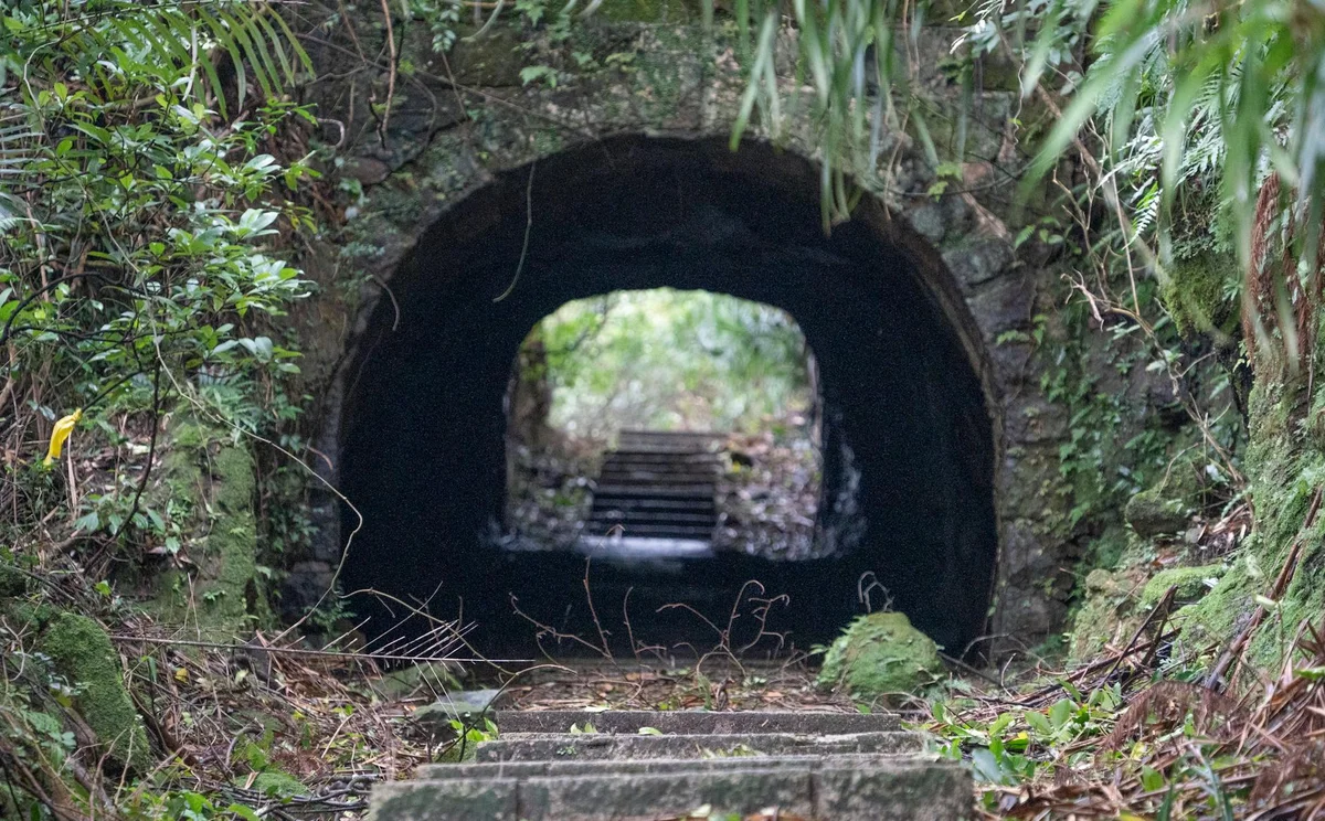 Sicao Green Tunnel view 1