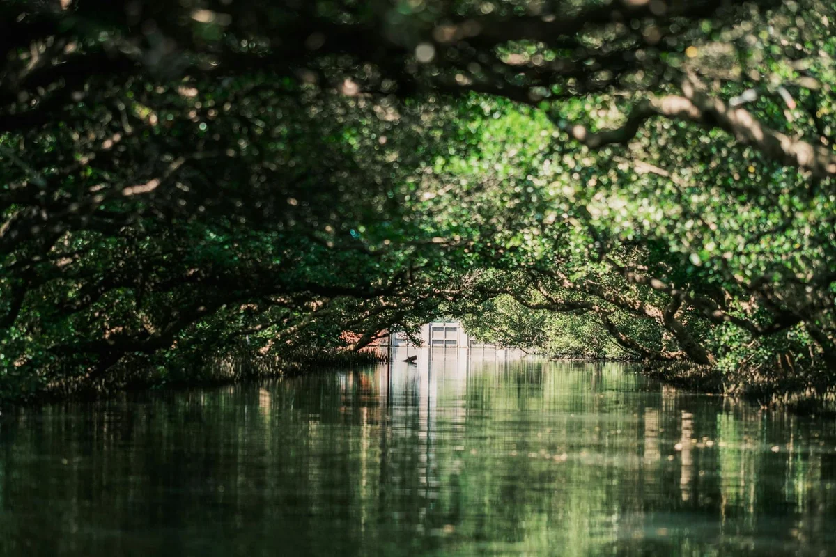 Taijiang National Park view 1