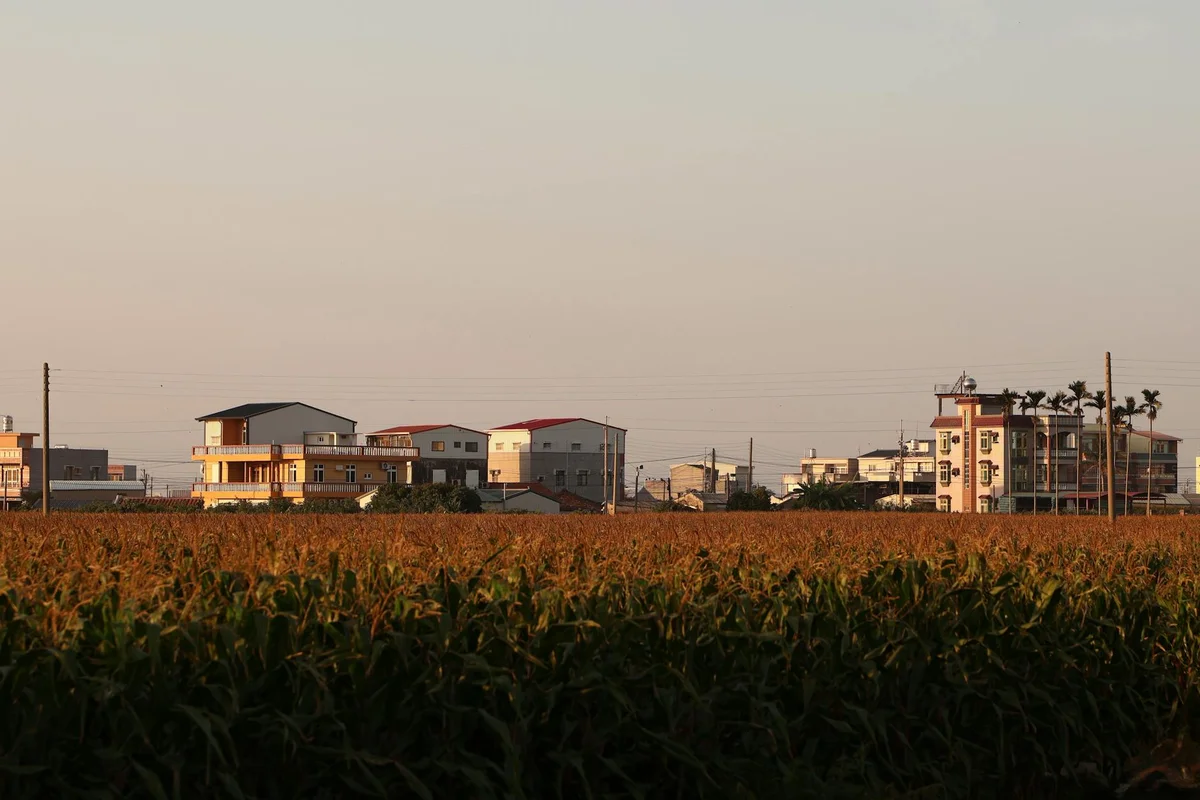 Tainan Flowers Expo view 2
