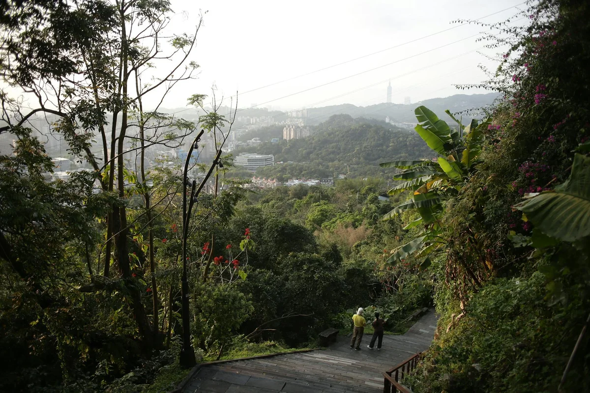 Taipei Zoo view 1