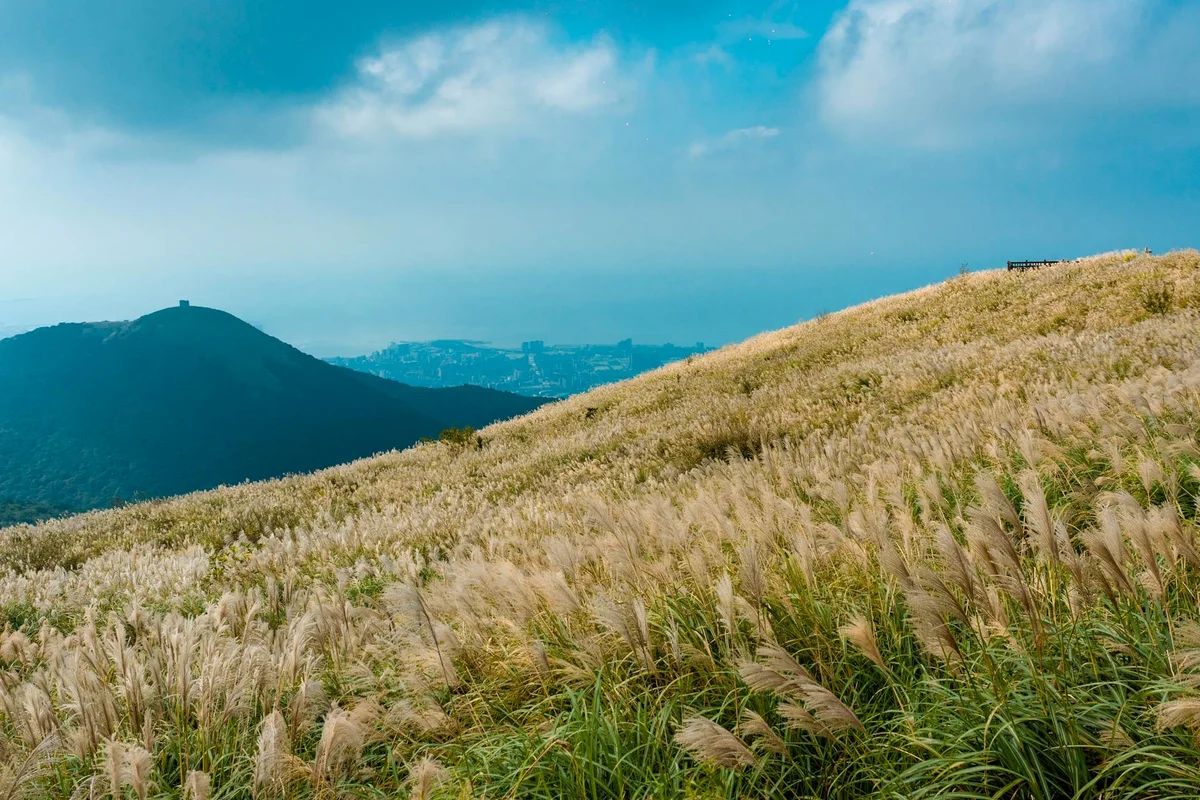 Yangmingshan National Park feature