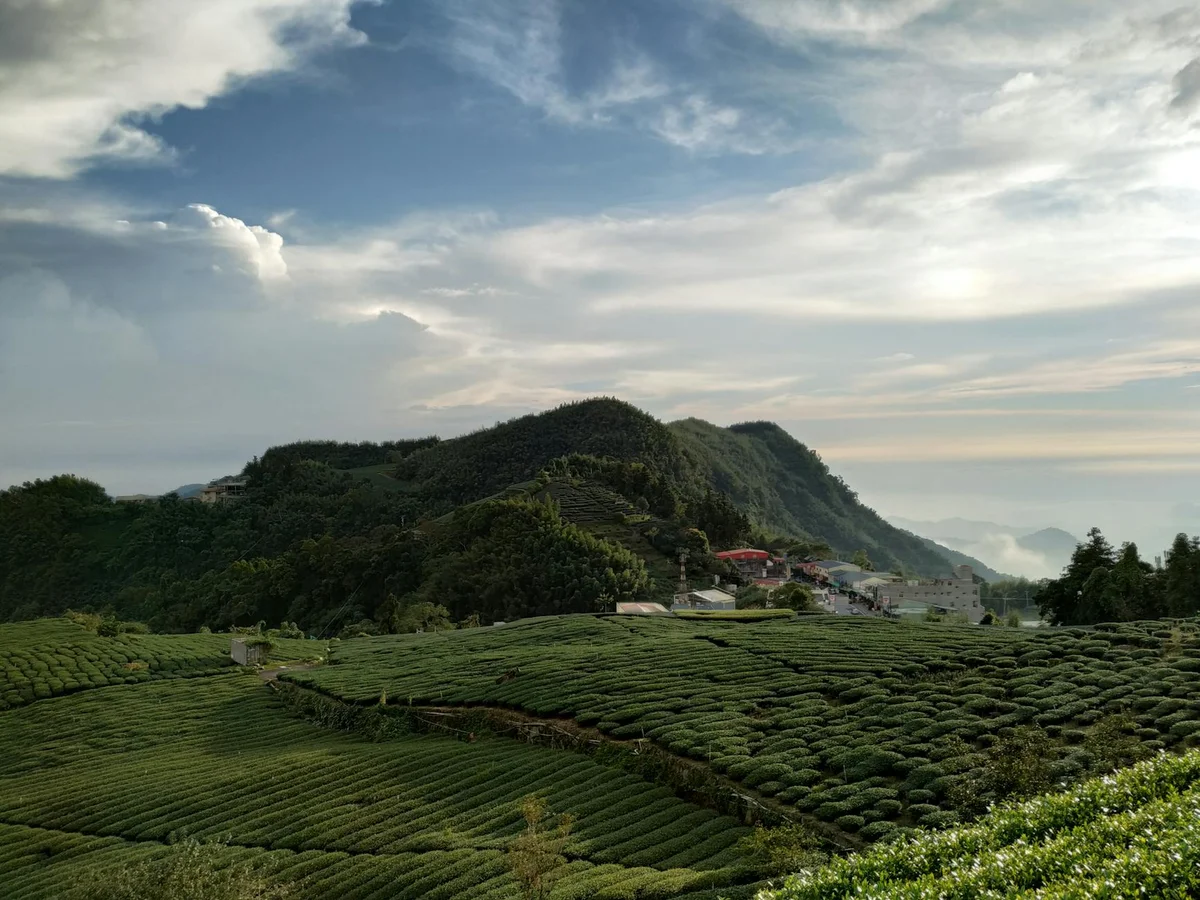 Alishan National Scenic Area view 2