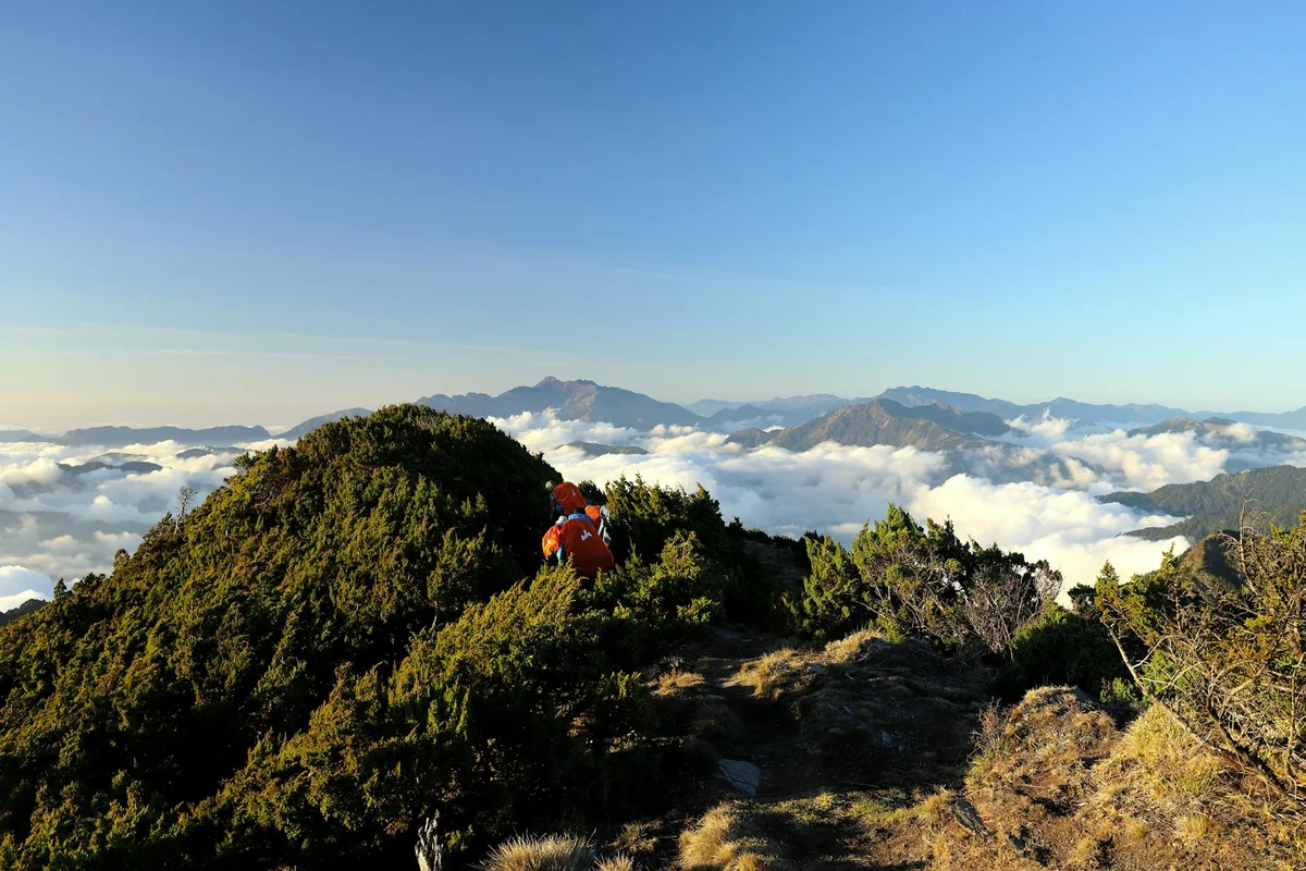 Alishan Cloud Sea View view 2