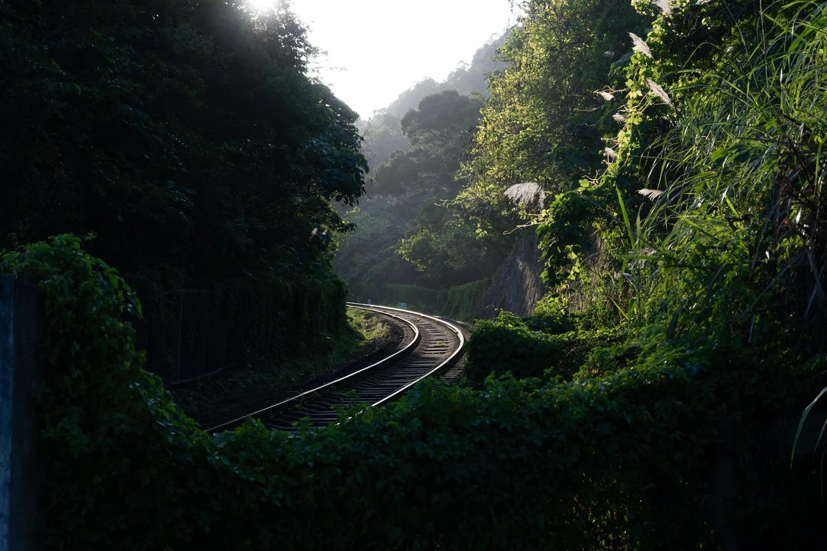 Alishan National Scenic Area view 2