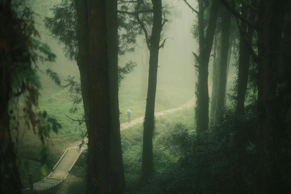 Alishan Sunset Viewpoint view 2