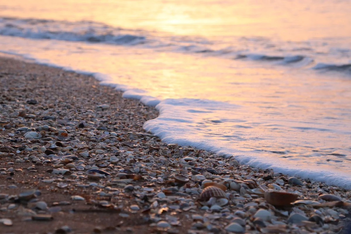 Cijin Seashell Museum feature