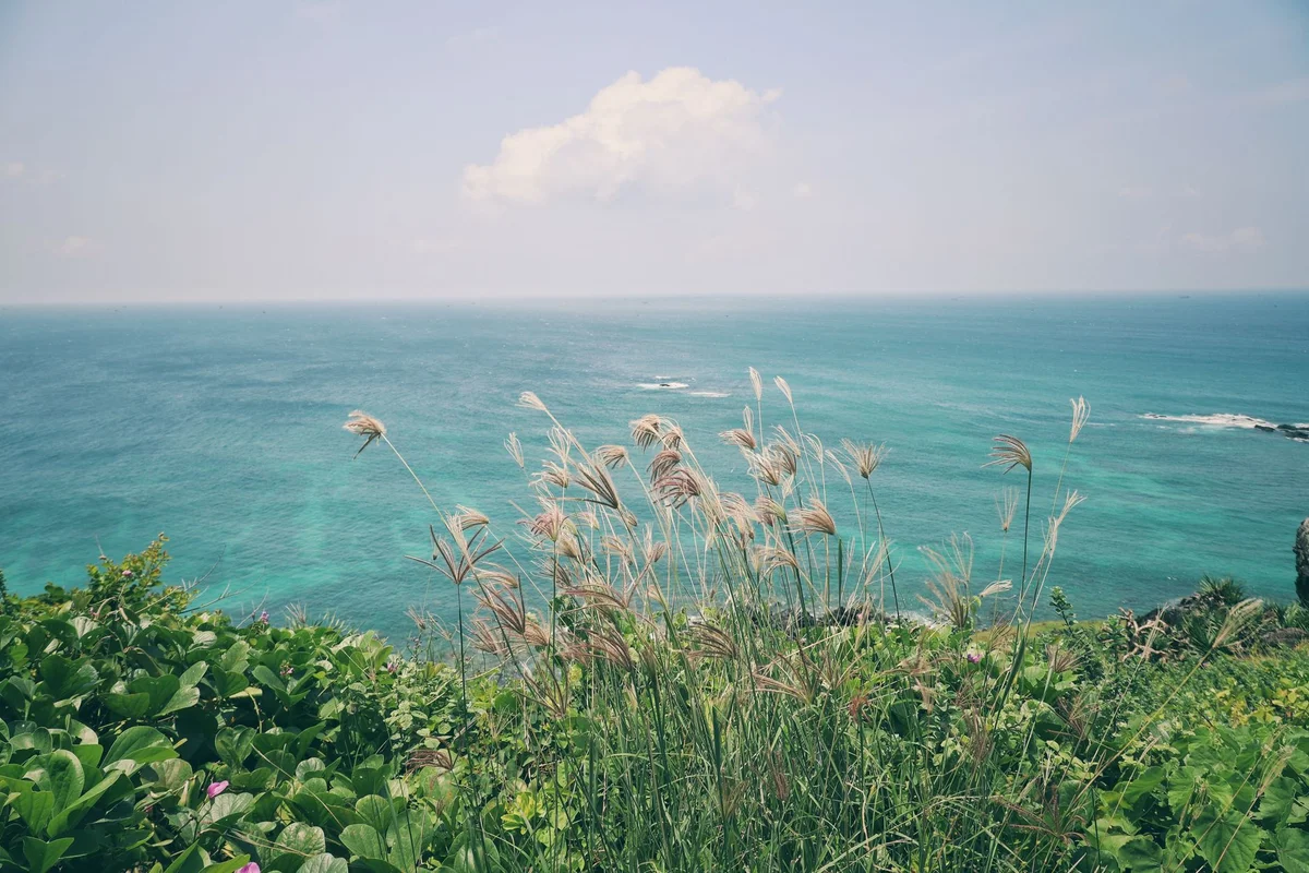 Eluanbi Park view 2