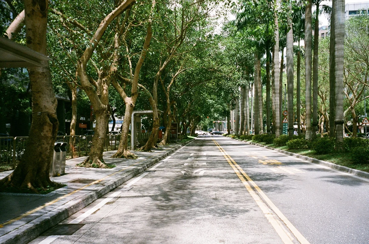 Fujin Street view 1