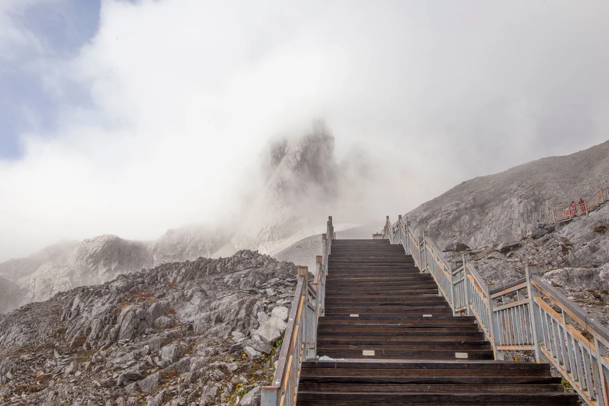 Year of Steps feature