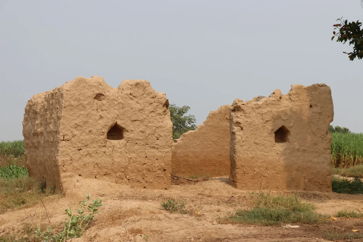 Sarazm Ruins feature