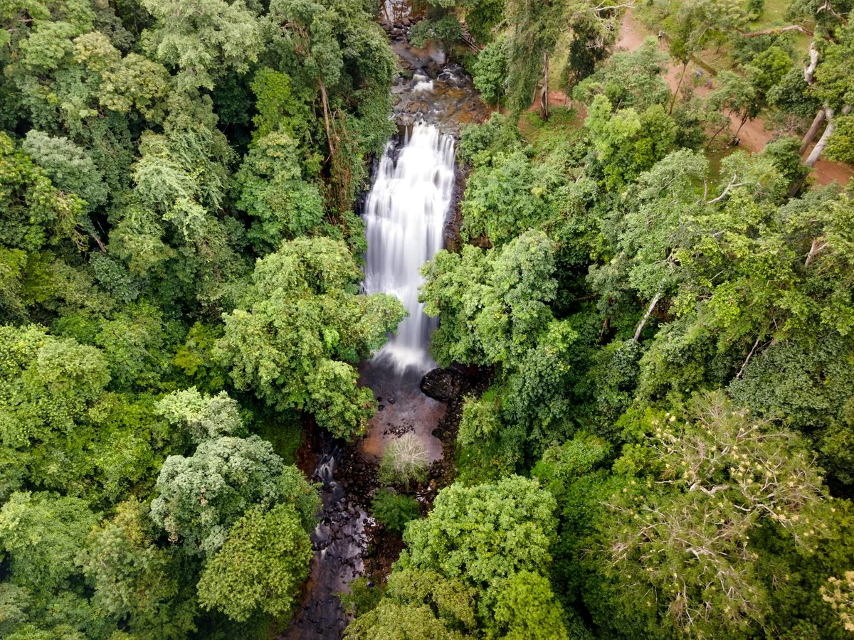 Bua Thong Waterfall feature