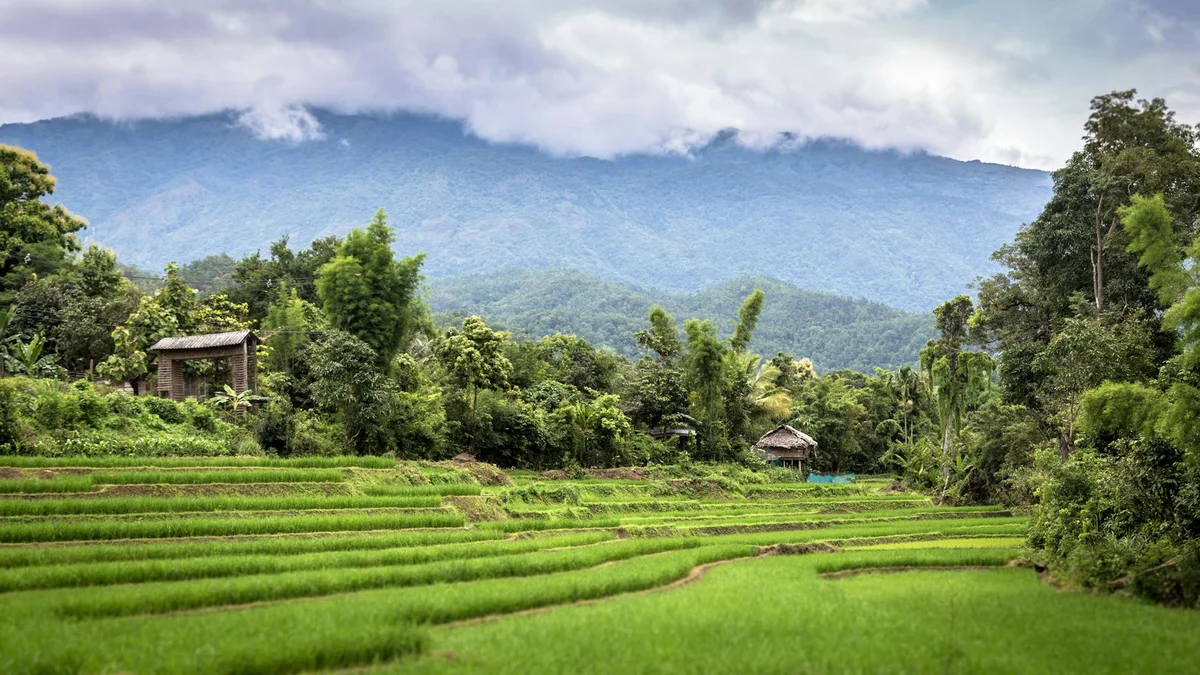 Doi Pui Hmong Village view 1
