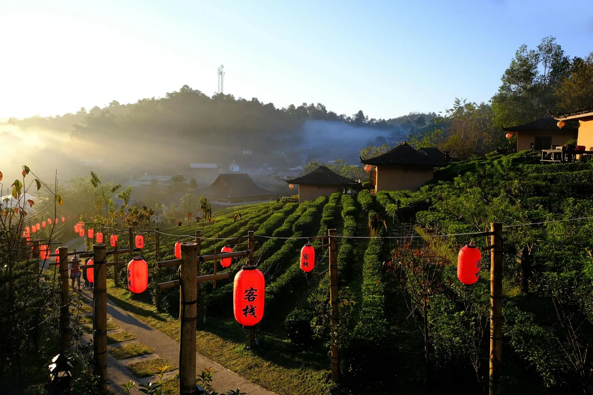 Mae Salong Village feature