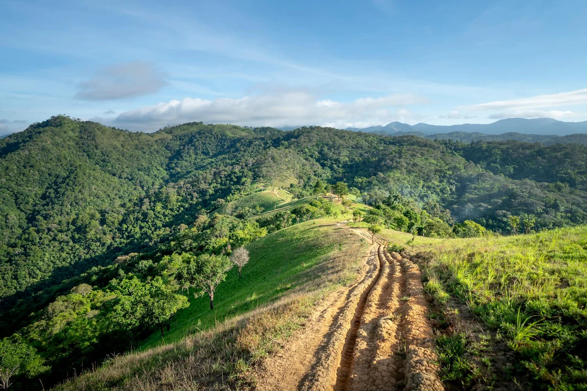 Phu Chi Fa Viewpoint view 1