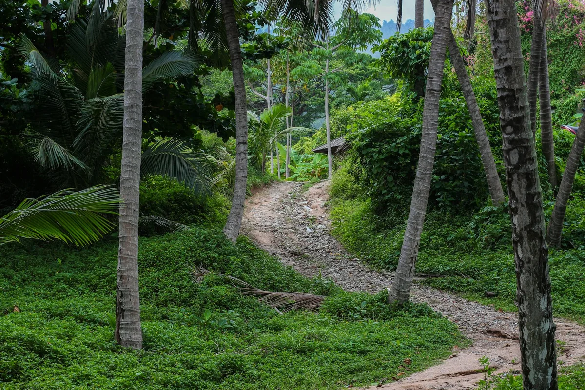 Phaeng Waterfall view 1