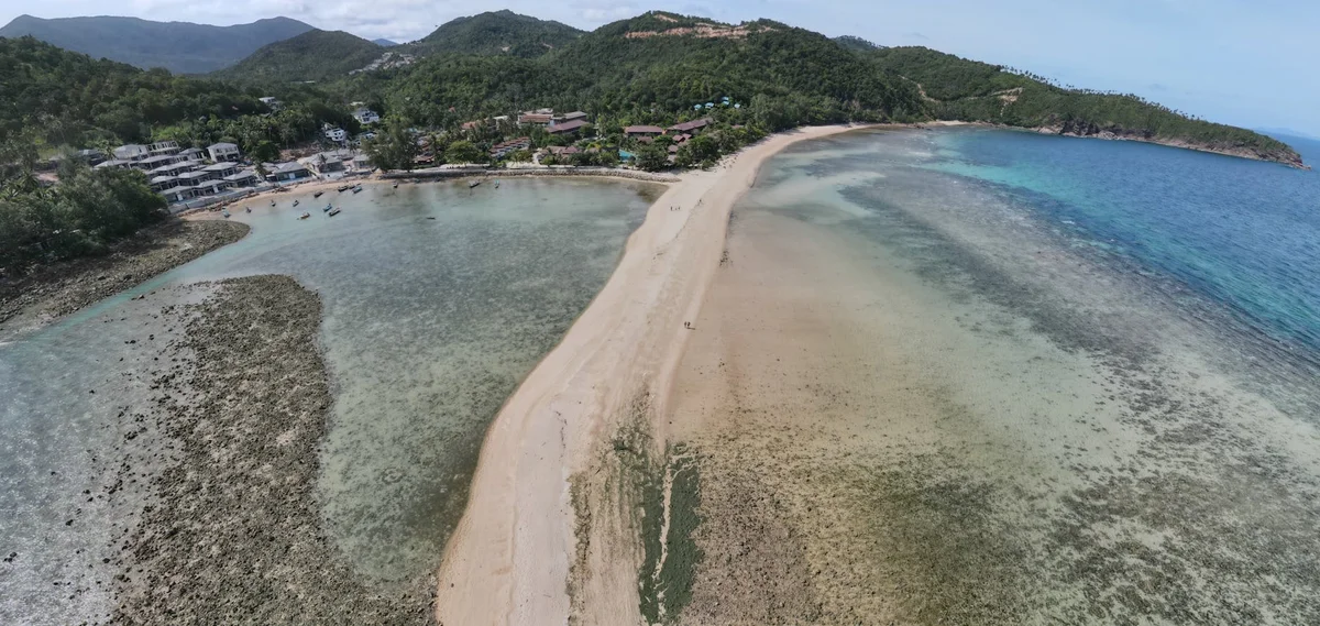 Chicken Island feature