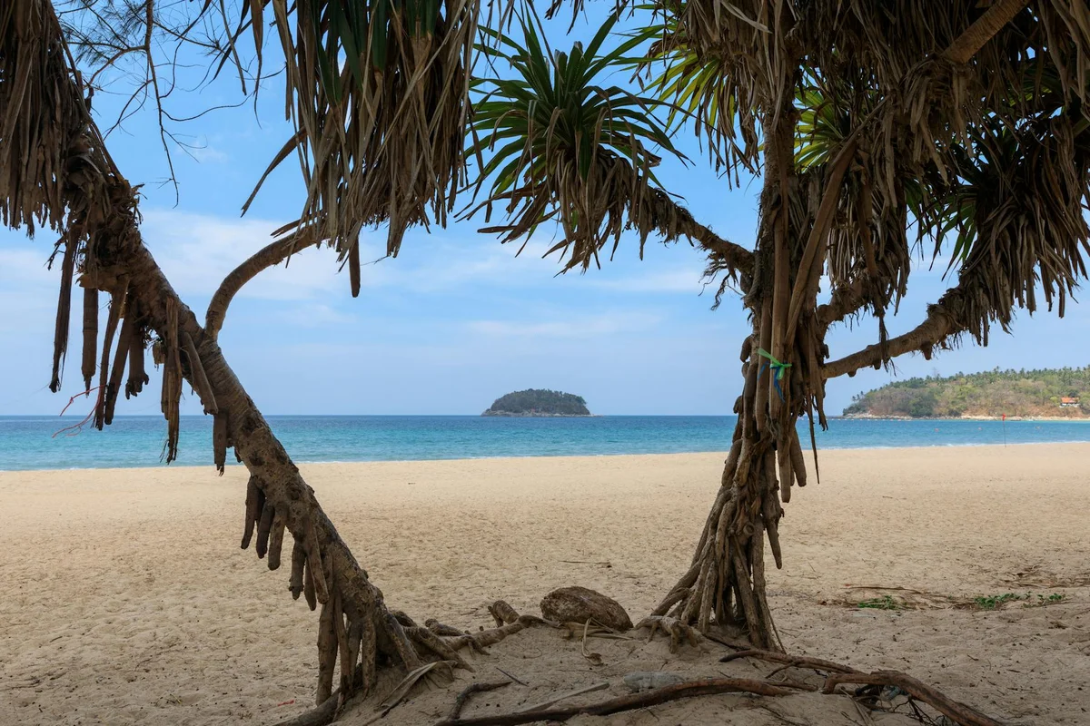 Bamboo Island view 2