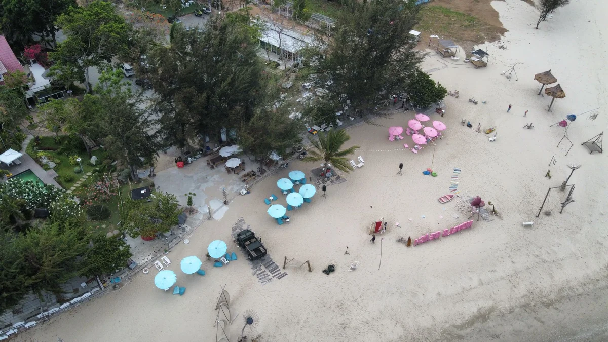 Dongtan Beach feature