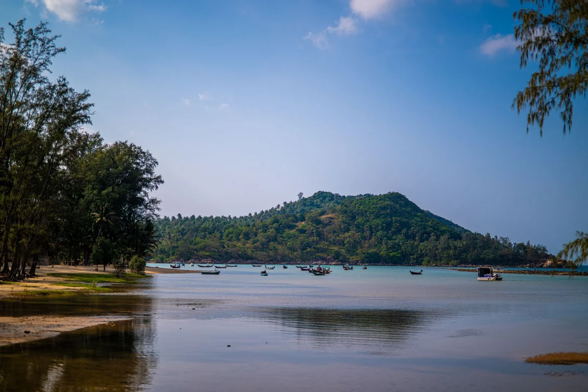 Nai Yang Beach feature