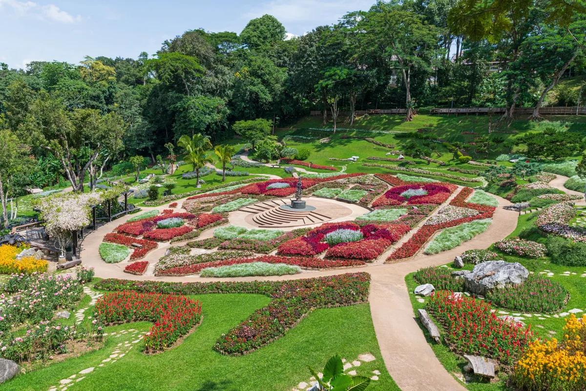 Rai Mae Fah Luang feature
