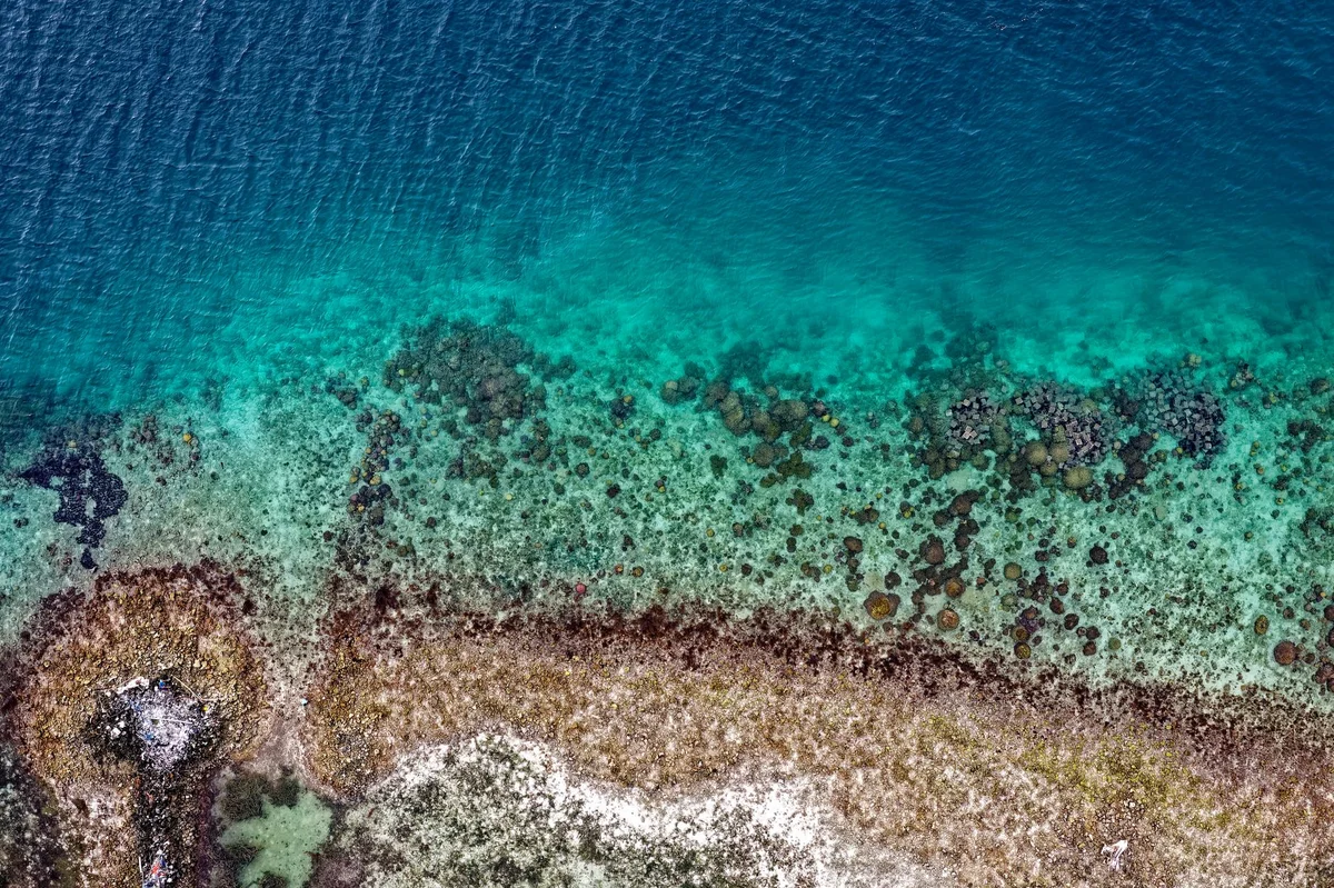 Atauro Reef feature