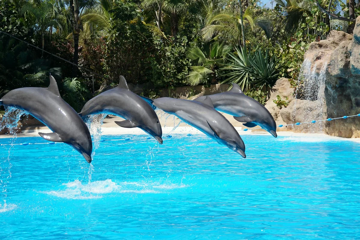 Waterhill Aquapark feature