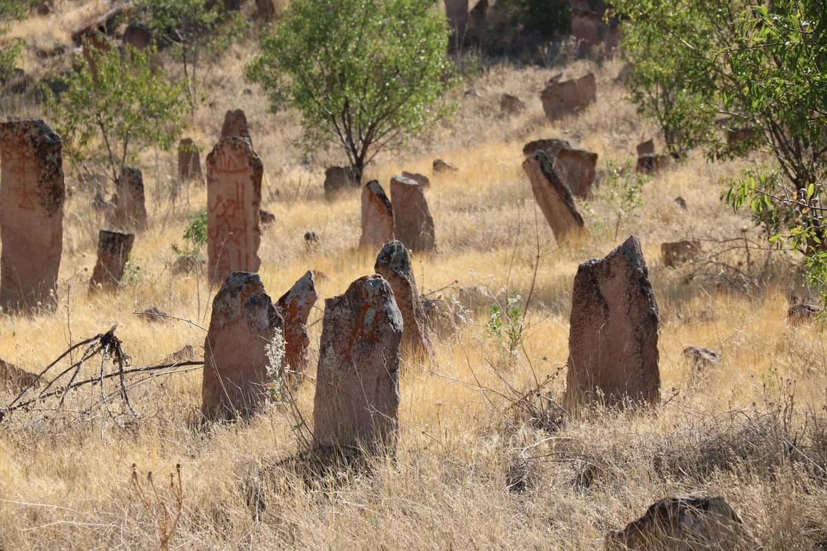 Nohur Cemetery view 2