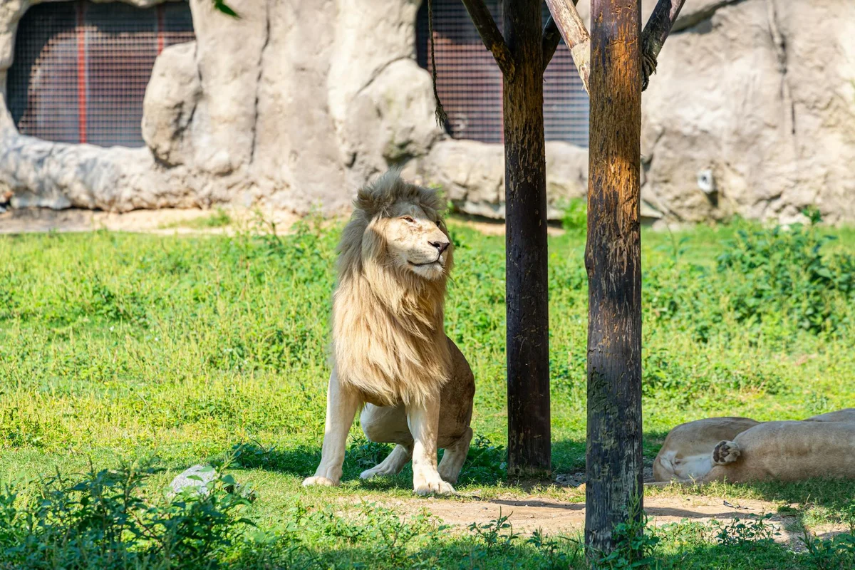 Emirates Park Zoo view 2