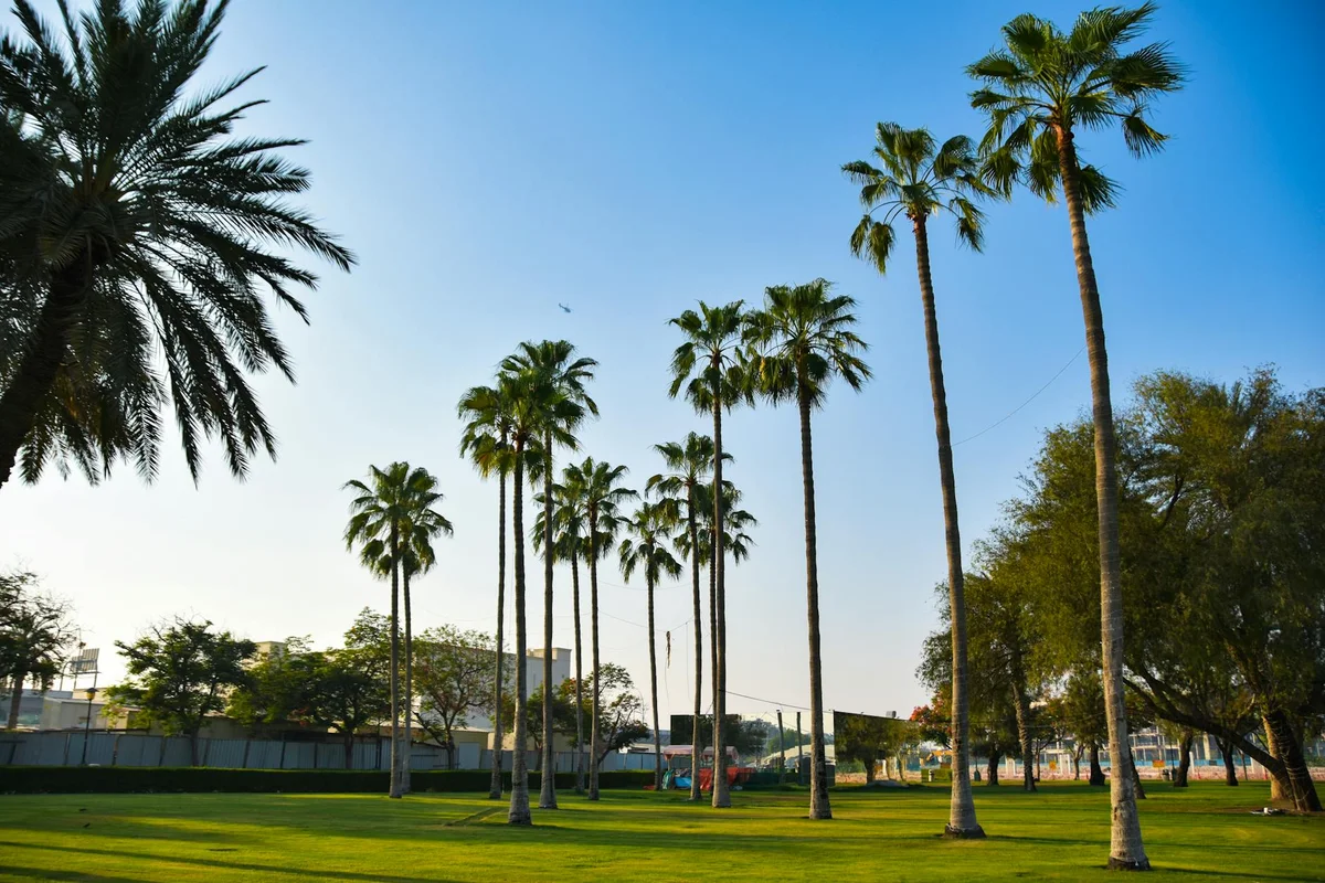 Saqr Public Park view 1