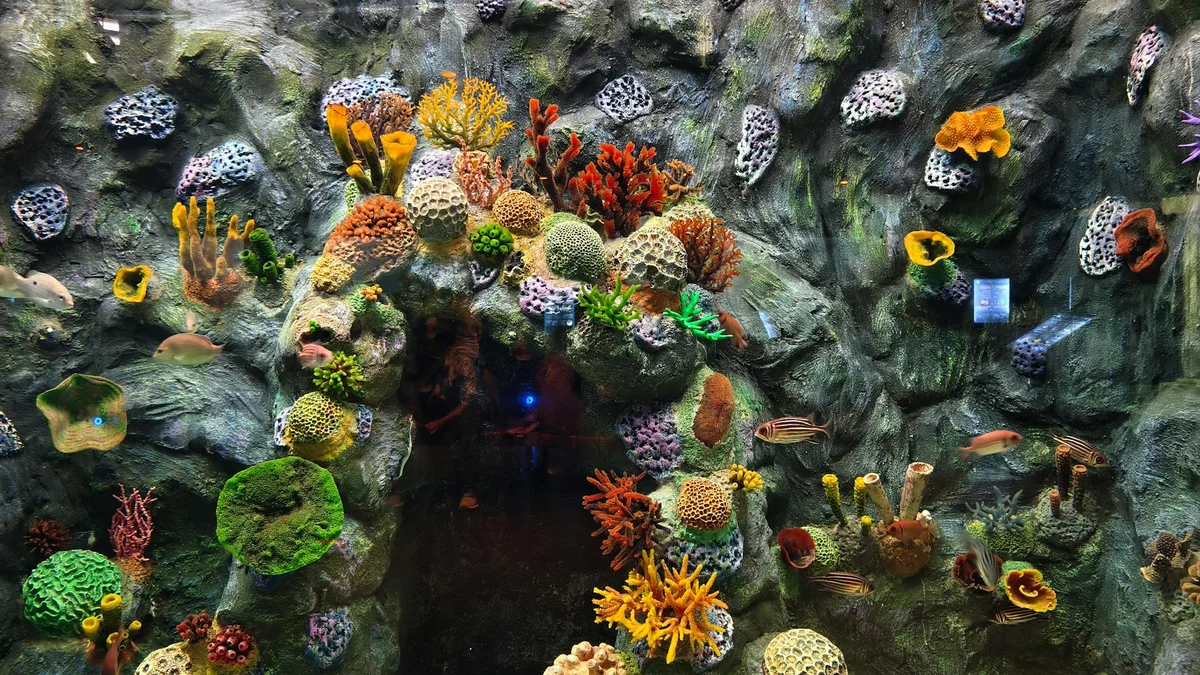 Sharjah Aquarium view 2
