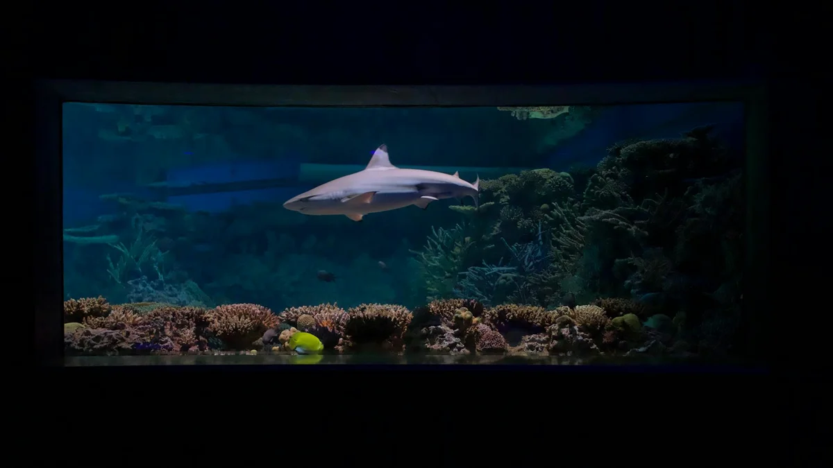 Sharjah Aquarium view 1