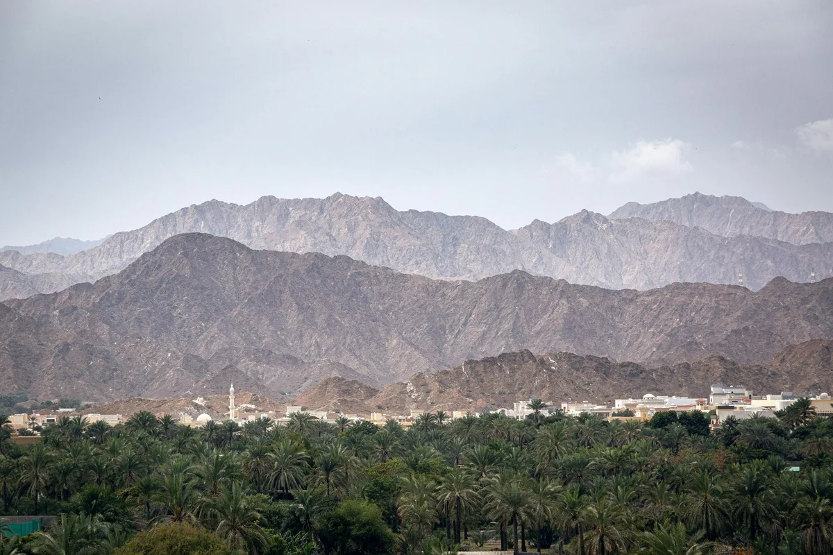 Al Adwani Tower view 2