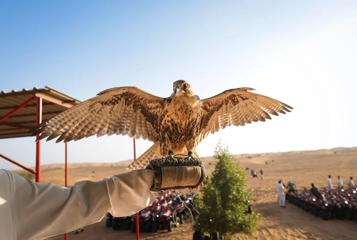 Abu Dhabi Falcon Hospital feature