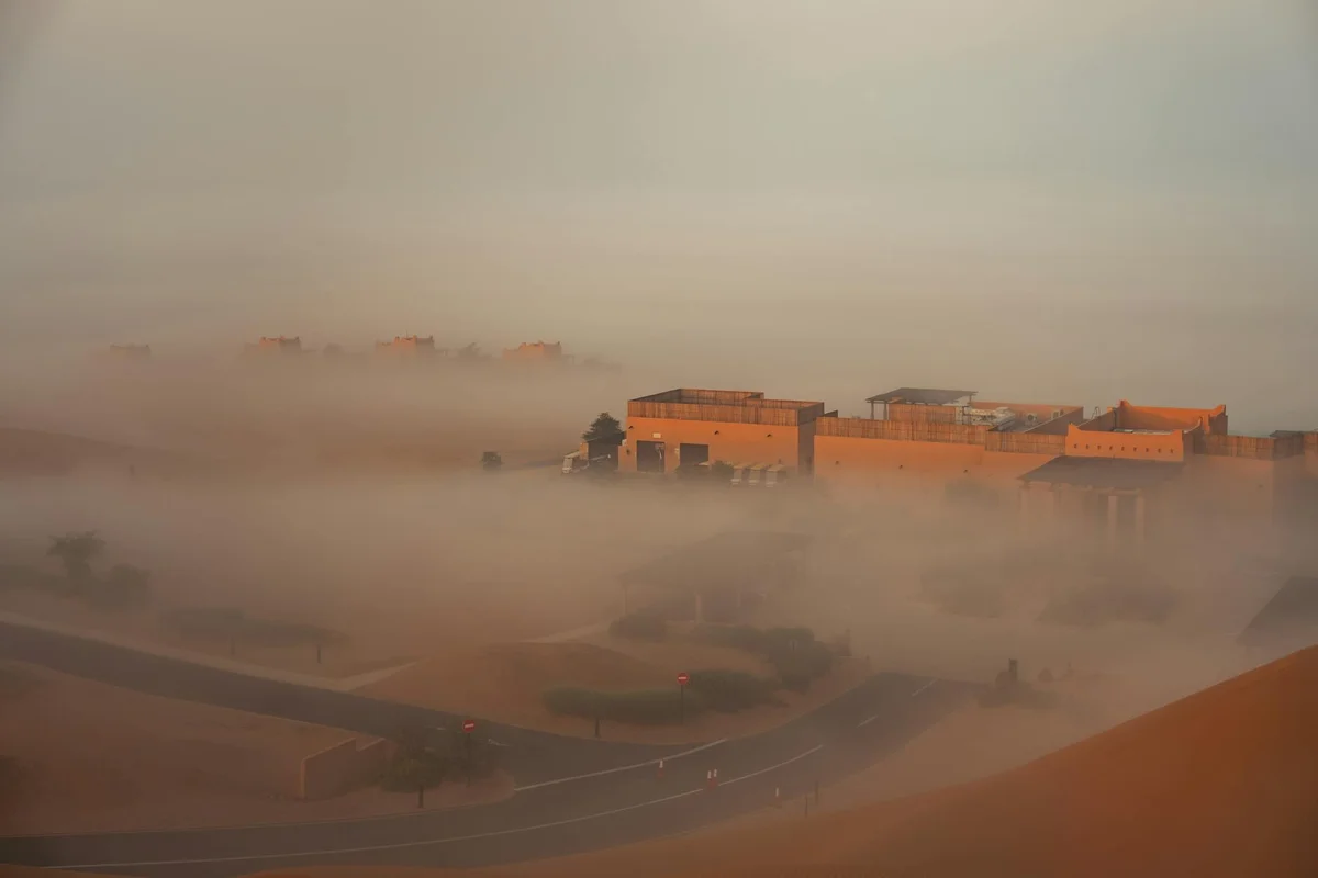 Al Ain Oasis view 2