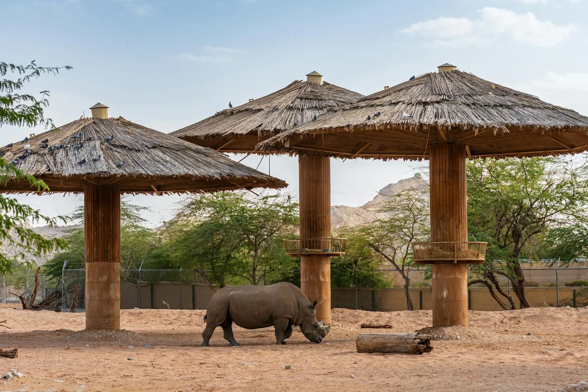 Al Ain Zoo view 1