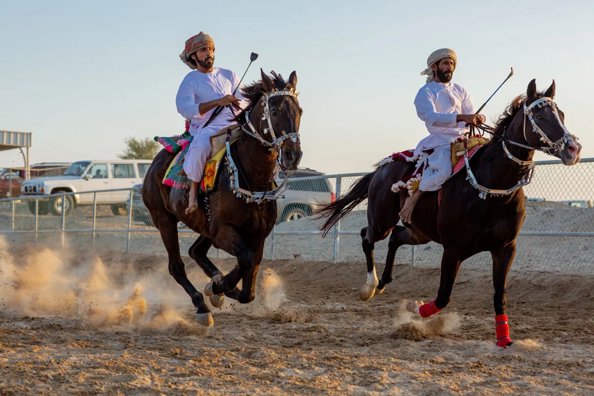 Al Wadi Equestrian Centre feature