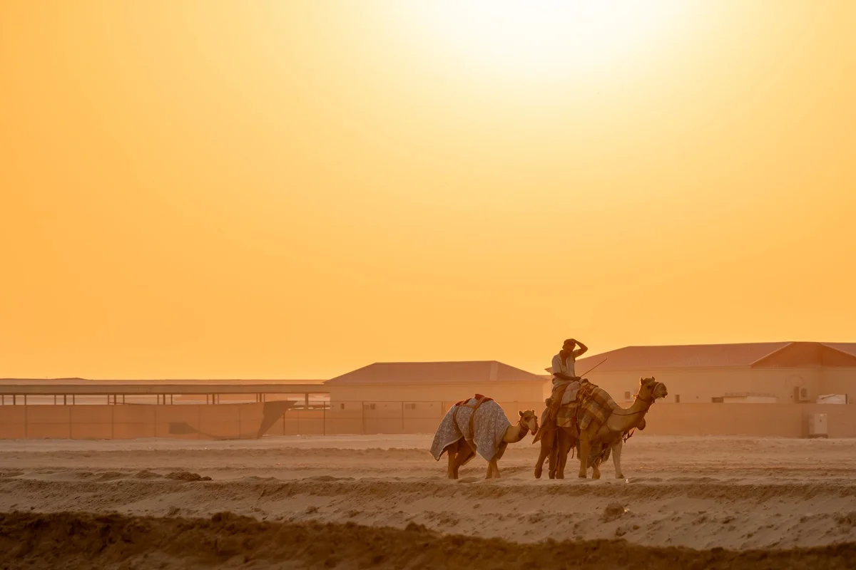 Al Wadi Nature Reserve view 1