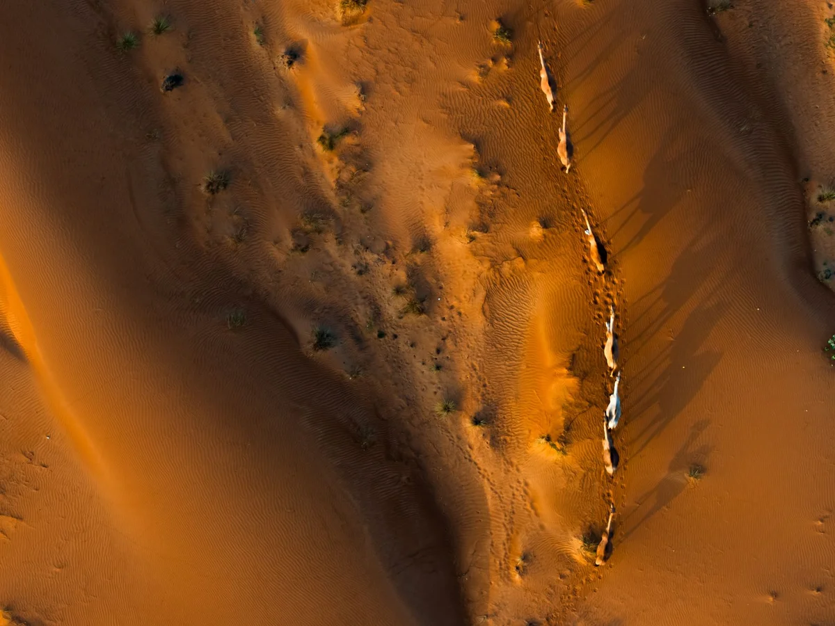 Camel Rock feature