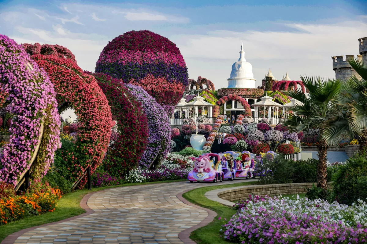 Dubai Miracle Garden view 2