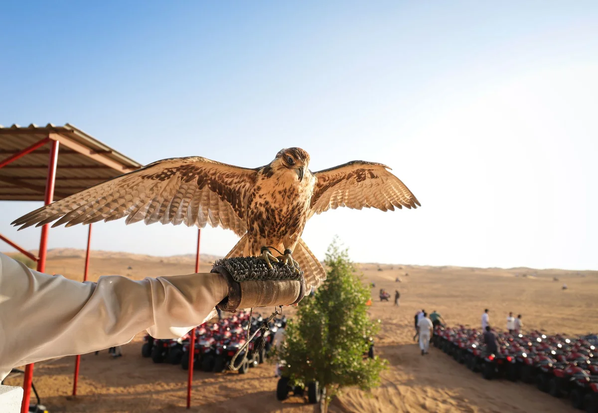 Kalba Bird of Prey Centre view 2