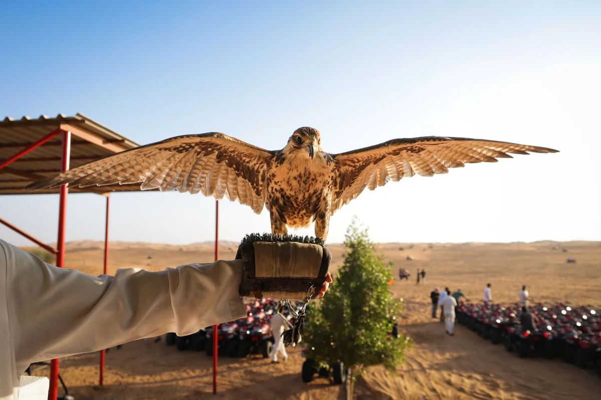 Kalba Bird of Prey Centre feature