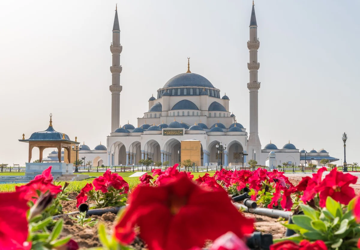Sharjah Mosque feature