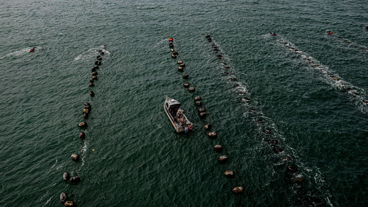 Al Suwaidi Pearl Farm feature