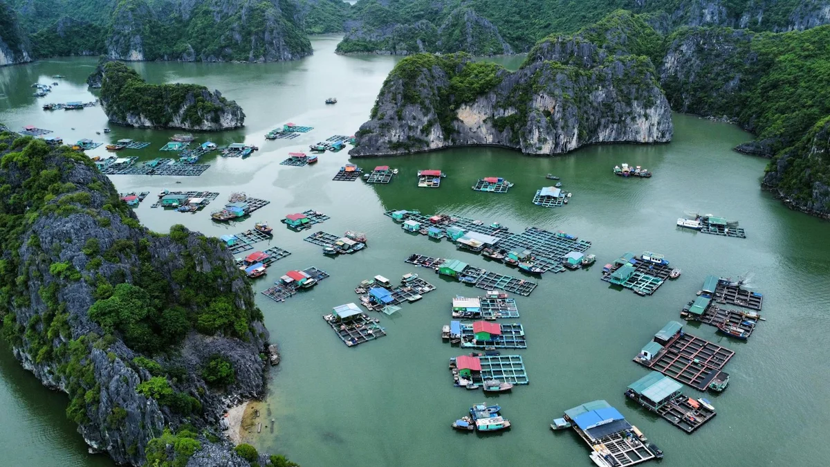 Cua Van Floating Village view 1