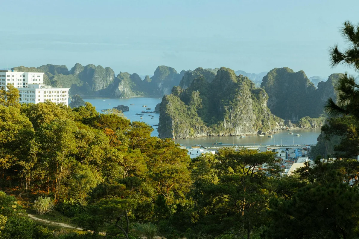Quang Ninh Museum and Library feature