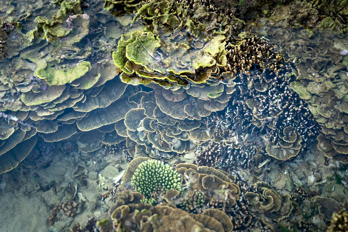 Hon Mun Island view 2