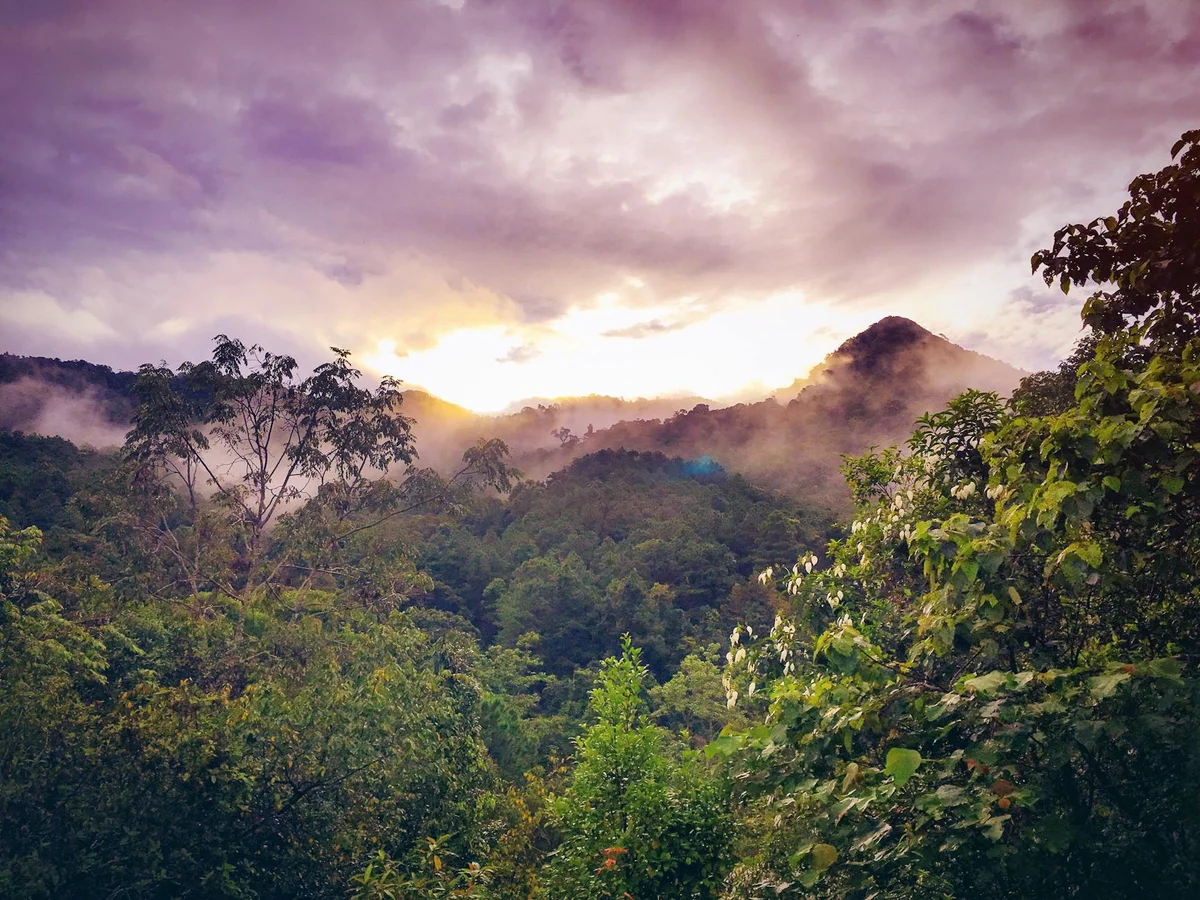 Phú Quốc National Park view 1