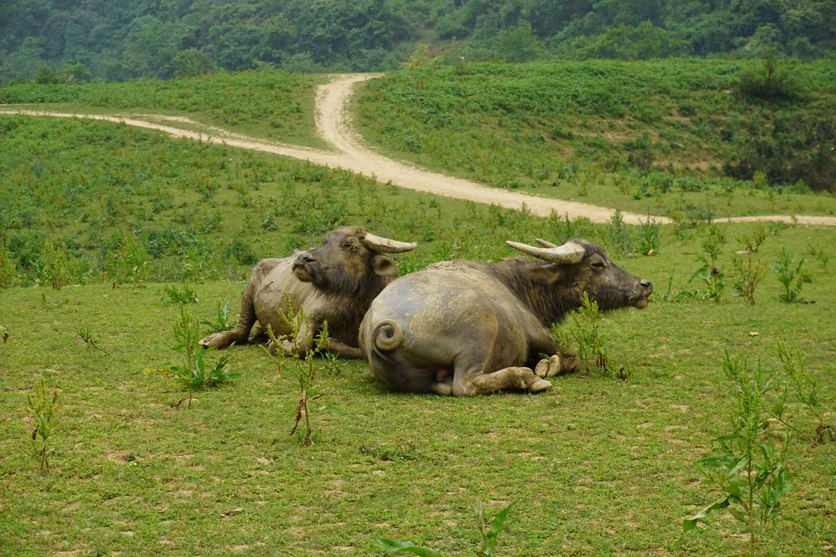 Phong Nam Ancient Village view 1
