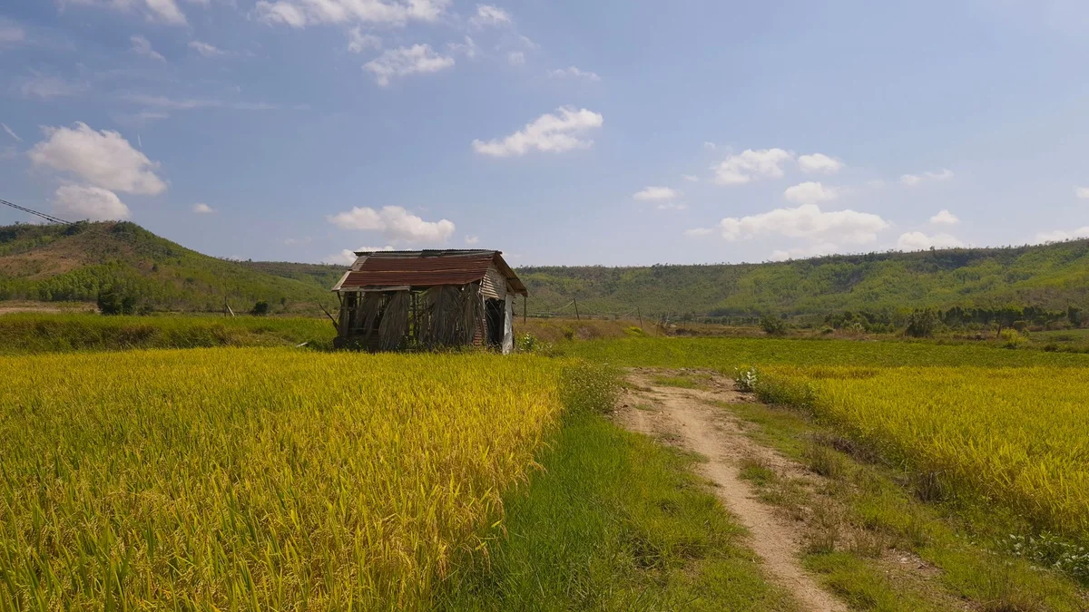 Phu Quoc Countryside Farm view 1